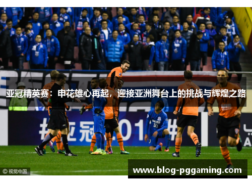 亚冠精英赛：申花雄心再起，迎接亚洲舞台上的挑战与辉煌之路