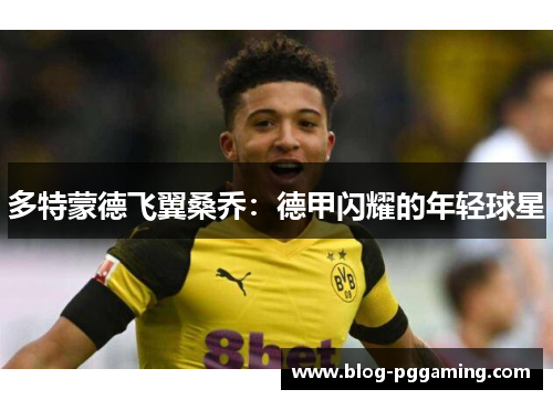 多特蒙德飞翼桑乔:德甲闪耀的年轻球星 多特蒙德飞翼桑乔:德甲闪耀的年轻球星