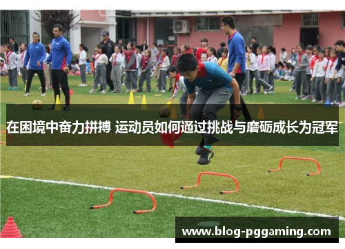 在困境中奋力拼搏 运动员如何通过挑战与磨砺成长为冠军
