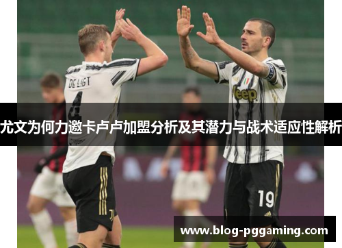 尤文为何力邀卡卢卢加盟分析及其潜力与战术适应性解析