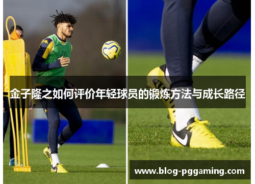 金子隆之如何评价年轻球员的锻炼方法与成长路径