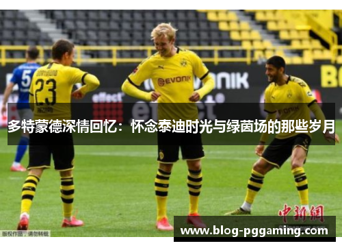 多特蒙德深情回忆:怀念泰迪时光与绿茵场的那些岁月 多特蒙德深情回忆:怀念泰迪时光与绿茵场的那些岁月