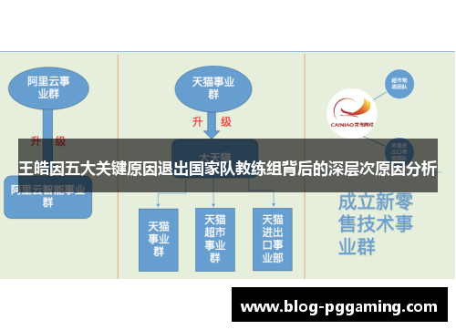 王皓因五大关键原因退出国家队教练组背后的深层次原因分析