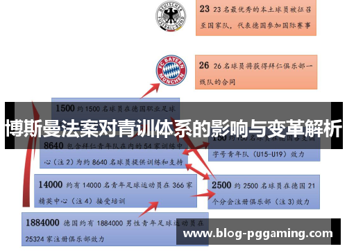 博斯曼法案对青训体系的影响与变革解析