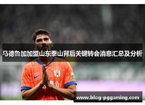 马德鲁加加盟山东泰山背后关键转会消息汇总及分析 马德鲁加加盟山东泰山背后关键转会消息汇总及分析