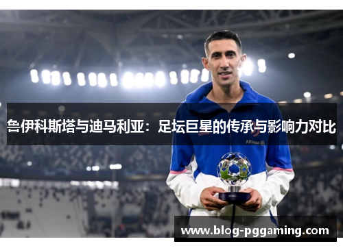 鲁伊科斯塔与迪马利亚：足坛巨星的传承与影响力对比