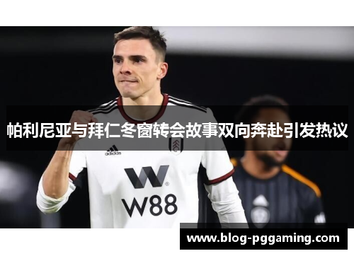 帕利尼亚与拜仁冬窗转会故事双向奔赴引发热议 帕利尼亚与拜仁冬窗转会故事双向奔赴引发热议